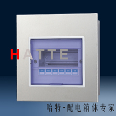 哈特直供不锈钢配电箱 PZ30照明箱6回路 DZ47空开关箱 防护箱6#